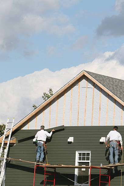 Best Shed Removal  in Osceola, IN